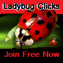 Lady Bug Clicks
