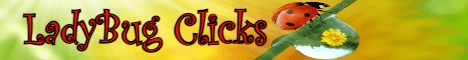 Lady Bug Clicks